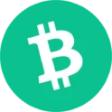 Bitcoin Cash payment method logo